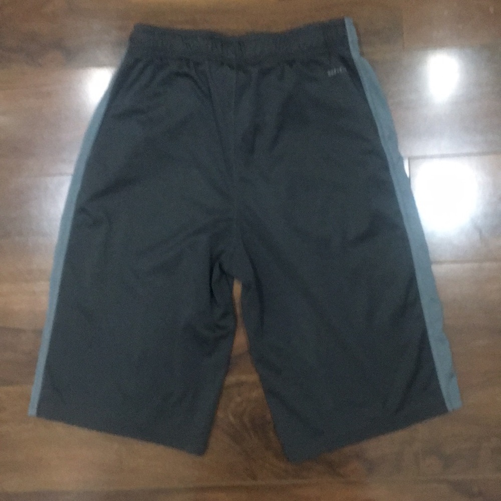 Nike Dry Fit shorts